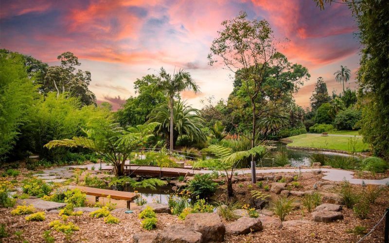 Nature's oasis in the heart of Melbourne